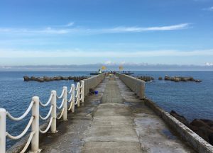 新潟駅からすぐ、絶景の海でど素人が日本海の天然真鯛を釣り上げたで！