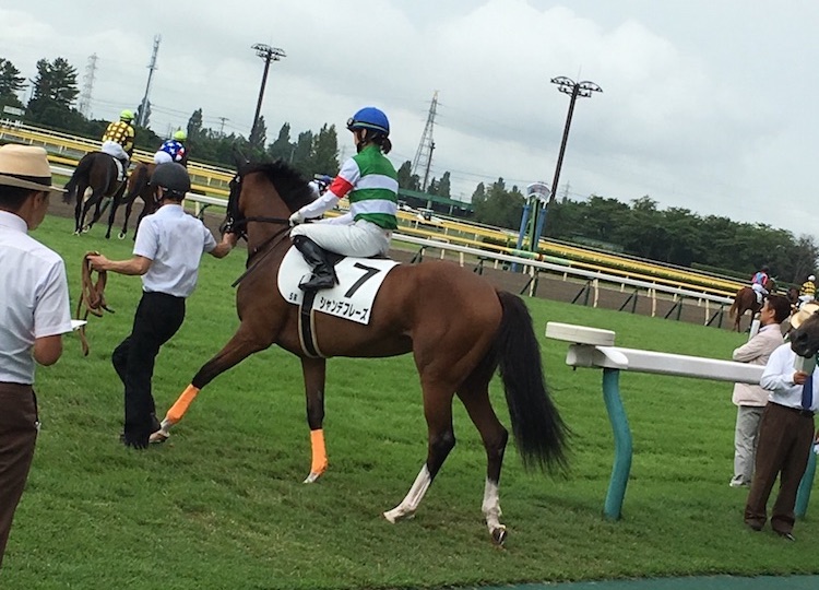 シャンデフレーズのデビュー戦で新潟競馬場へ行ってきた