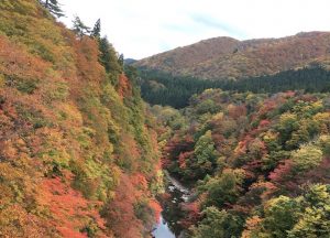 平成最後の秋に日本の紅葉を生まれて初めてちゃんと味わう